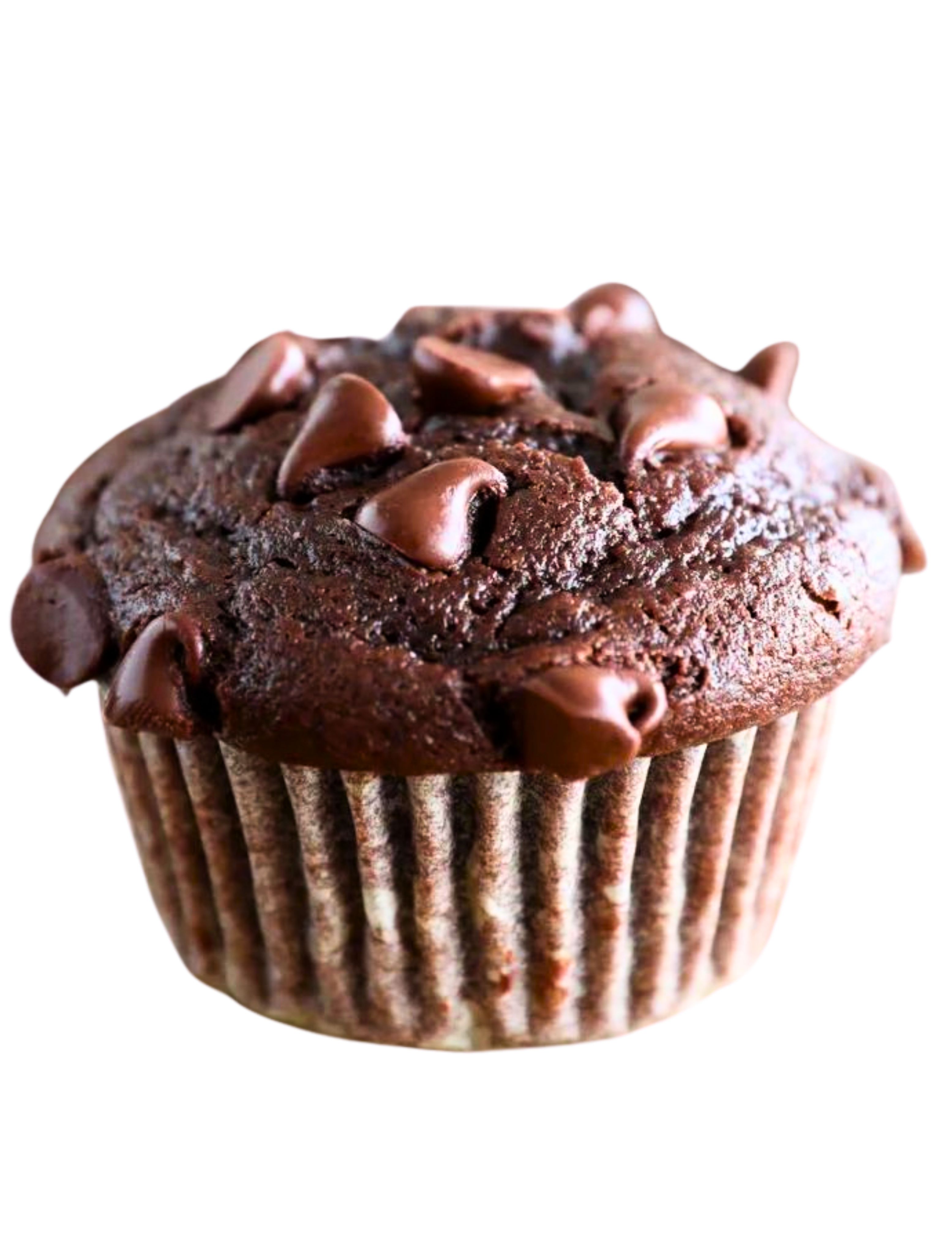 Choco Muffin